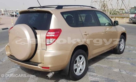Buy Import Toyota RAV4 Other Car in Import - Dubai in Batken Buy Import Toyota RAV4 Other Car in Import - Dubai in Batken
