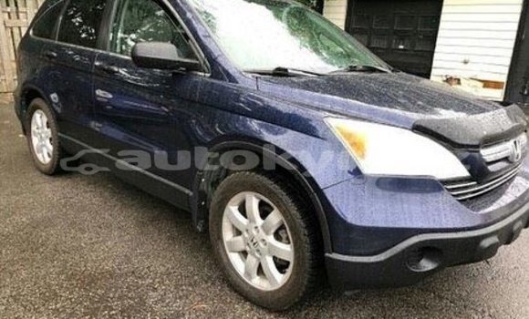 Buy Used Honda CR–V Blue Car in Bishkek in Bishkek Buy Used Honda CR–V Blue Car in Bishkek in Bishkek