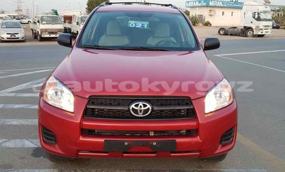 Buy Import Toyota RAV4 Red Car in Import - Dubai in Batken Buy Import Toyota RAV4 Red Car in Import - Dubai in Batken