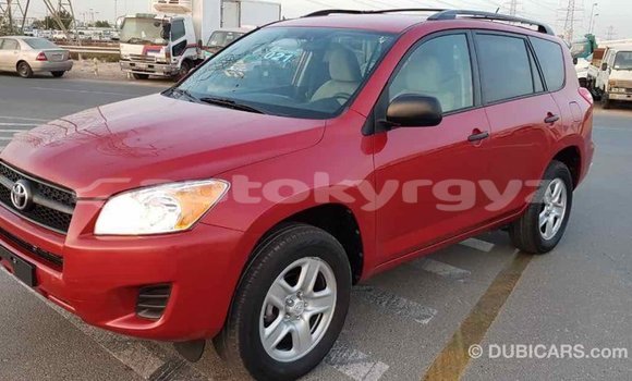 Buy Import Toyota RAV4 Red Car in Import - Dubai in Batken Buy Import Toyota RAV4 Red Car in Import - Dubai in Batken