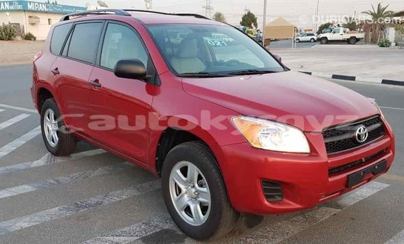 Buy Import Toyota RAV4 Red Car in Import - Dubai in Batken Buy Import Toyota RAV4 Red Car in Import - Dubai in Batken
