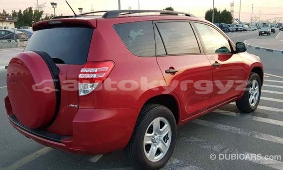 Buy Import Toyota RAV4 Red Car in Import - Dubai in Batken Buy Import Toyota RAV4 Red Car in Import - Dubai in Batken