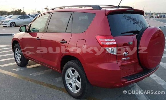 Buy Import Toyota RAV4 Red Car in Import - Dubai in Batken Buy Import Toyota RAV4 Red Car in Import - Dubai in Batken
