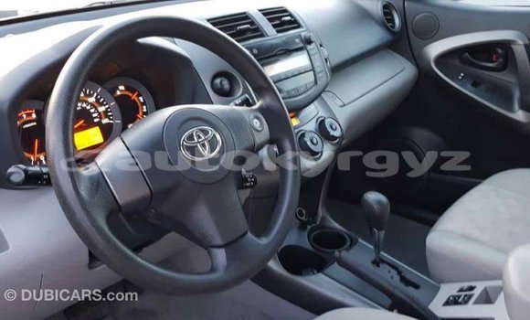 Buy Import Toyota RAV4 Red Car in Import - Dubai in Batken Buy Import Toyota RAV4 Red Car in Import - Dubai in Batken