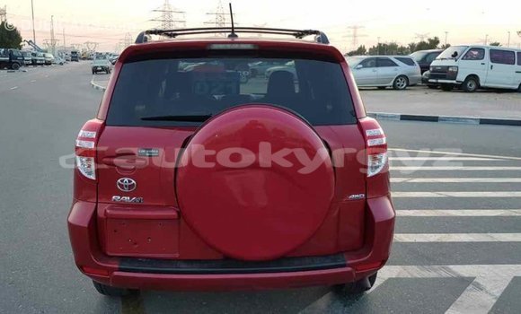 Buy Import Toyota RAV4 Red Car in Import - Dubai in Batken Buy Import Toyota RAV4 Red Car in Import - Dubai in Batken