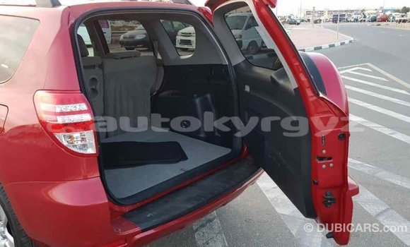 Buy Import Toyota RAV4 Red Car in Import - Dubai in Batken Buy Import Toyota RAV4 Red Car in Import - Dubai in Batken