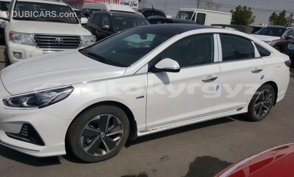 Buy Import Hyundai Sonata White Car in Import - Dubai in Batken Buy Import Hyundai Sonata White Car in Import - Dubai in Batken