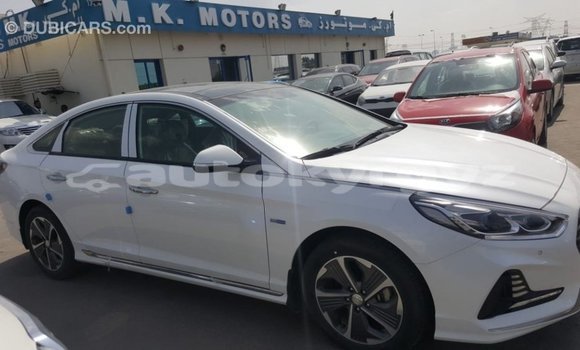 Buy Import Hyundai Sonata White Car in Import - Dubai in Batken Buy Import Hyundai Sonata White Car in Import - Dubai in Batken