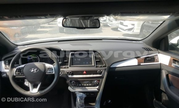 Buy Import Hyundai Sonata White Car in Import - Dubai in Batken Buy Import Hyundai Sonata White Car in Import - Dubai in Batken