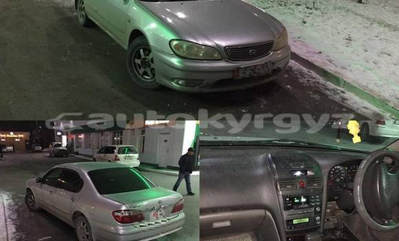 Buy Used Nissan Cefiro Silver Car in Bishkek in Bishkek