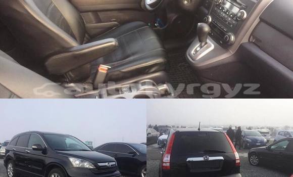 Buy Used Honda CR–V Black Car in Bishkek in Bishkek