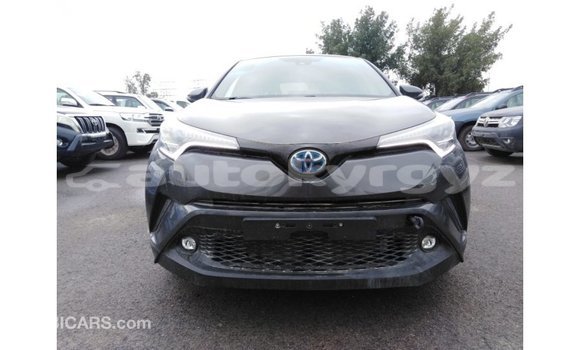 Buy Import Toyota C-HR Other Car in Import - Dubai in Batken Buy Import Toyota C-HR Other Car in Import - Dubai in Batken