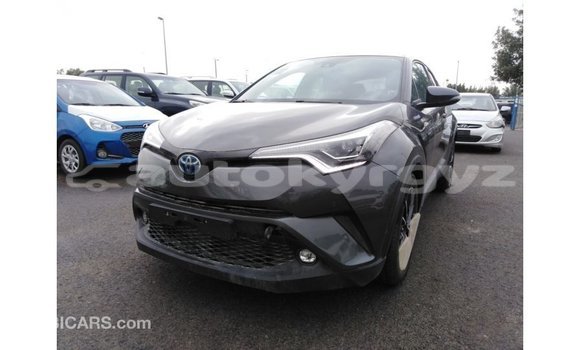 Buy Import Toyota C-HR Other Car in Import - Dubai in Batken Buy Import Toyota C-HR Other Car in Import - Dubai in Batken