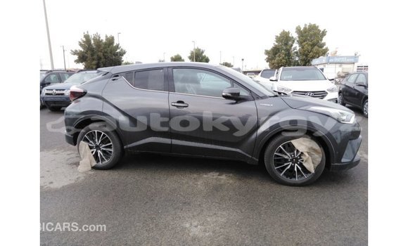 Buy Import Toyota C-HR Other Car in Import - Dubai in Batken Buy Import Toyota C-HR Other Car in Import - Dubai in Batken