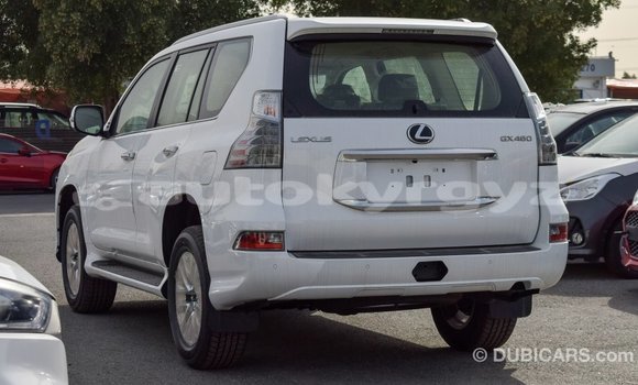Buy Import Lexus GX White Car in Import - Dubai in Batken Buy Import Lexus GX White Car in Import - Dubai in Batken