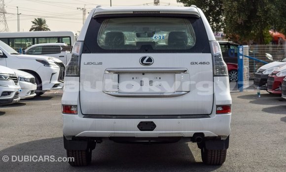 Buy Import Lexus GX White Car in Import - Dubai in Batken Buy Import Lexus GX White Car in Import - Dubai in Batken
