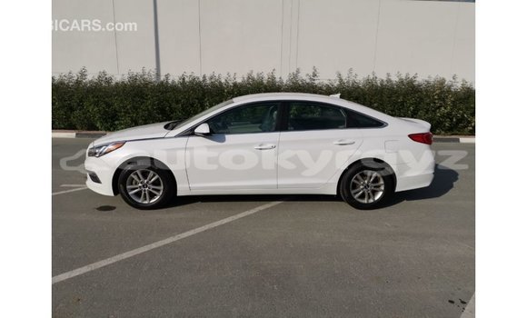Buy Import Hyundai Sonata White Car in Import - Dubai in Batken Buy Import Hyundai Sonata White Car in Import - Dubai in Batken