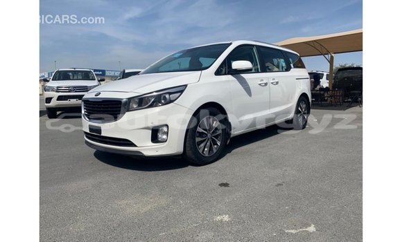 Buy Import Kia Carnival White Car in Import - Dubai in Batken Buy Import Kia Carnival White Car in Import - Dubai in Batken