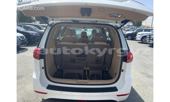Buy Import Kia Carnival White Car in Import - Dubai in Batken Buy Import Kia Carnival White Car in Import - Dubai in Batken