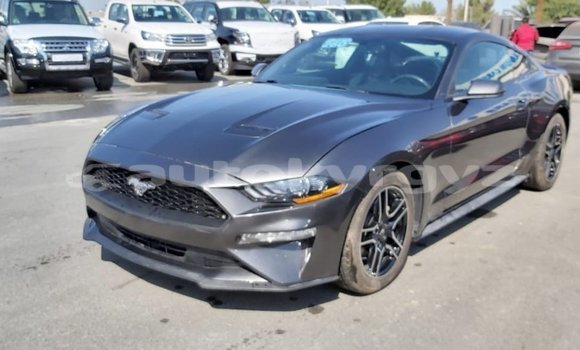 Buy Import Ford Mustang Other Car in Import - Dubai in Batken Buy Import Ford Mustang Other Car in Import - Dubai in Batken