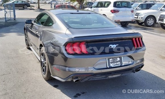 Buy Import Ford Mustang Other Car in Import - Dubai in Batken Buy Import Ford Mustang Other Car in Import - Dubai in Batken