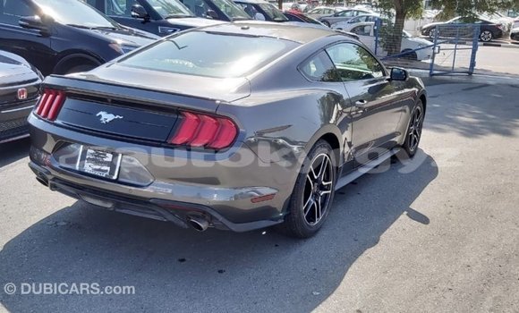 Buy Import Ford Mustang Other Car in Import - Dubai in Batken Buy Import Ford Mustang Other Car in Import - Dubai in Batken
