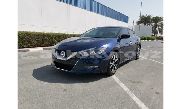 Buy Import Nissan Maxima Blue Car in Import - Dubai in Batken Buy Import Nissan Maxima Blue Car in Import - Dubai in Batken
