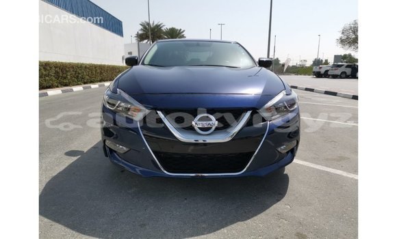 Buy Import Nissan Maxima Blue Car in Import - Dubai in Batken Buy Import Nissan Maxima Blue Car in Import - Dubai in Batken