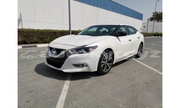 Buy Import Nissan Maxima White Car in Import - Dubai in Batken Buy Import Nissan Maxima White Car in Import - Dubai in Batken