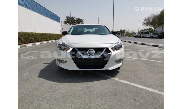Buy Import Nissan Maxima White Car in Import - Dubai in Batken Buy Import Nissan Maxima White Car in Import - Dubai in Batken
