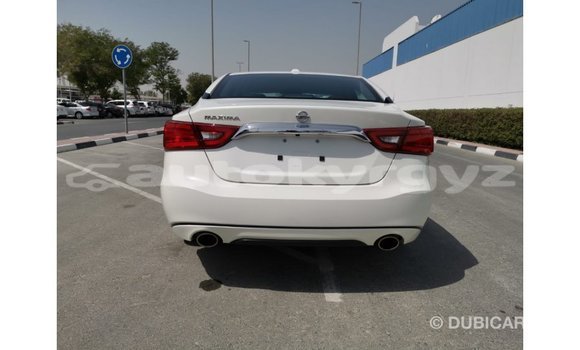 Buy Import Nissan Maxima White Car in Import - Dubai in Batken Buy Import Nissan Maxima White Car in Import - Dubai in Batken