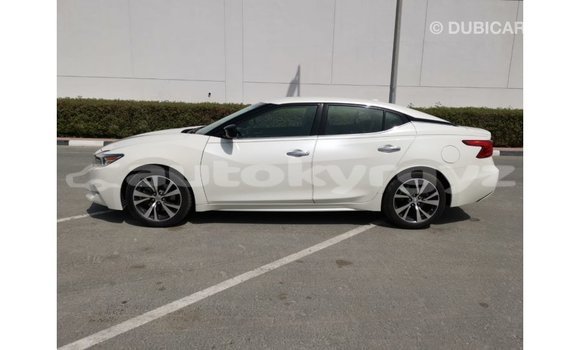 Buy Import Nissan Maxima White Car in Import - Dubai in Batken Buy Import Nissan Maxima White Car in Import - Dubai in Batken