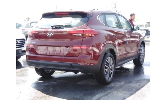 Buy Import Hyundai Tucson Red Car in Import - Dubai in Batken Buy Import Hyundai Tucson Red Car in Import - Dubai in Batken