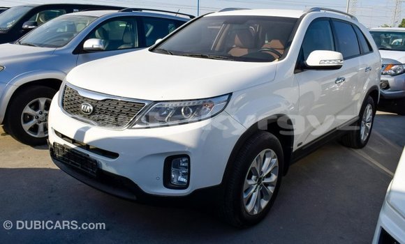 Buy Import Kia Sorento White Car in Import - Dubai in Batken