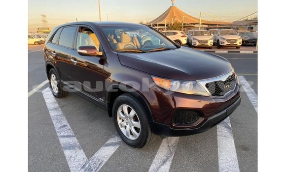 Buy Import Kia Sorento Brown Car in Import - Dubai in Batken Buy Import Kia Sorento Brown Car in Import - Dubai in Batken