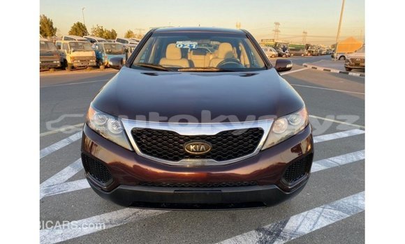 Buy Import Kia Sorento Brown Car in Import - Dubai in Batken Buy Import Kia Sorento Brown Car in Import - Dubai in Batken