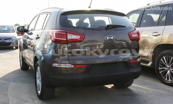 Buy Import Kia Sportage Brown Car in Import - Dubai in Batken Buy Import Kia Sportage Brown Car in Import - Dubai in Batken
