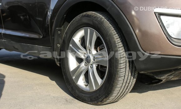 Buy Import Kia Sportage Brown Car in Import - Dubai in Batken