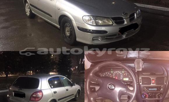 Buy Used Nissan Almera Silver Car in Bishkek in Bishkek