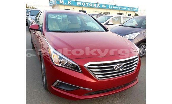 Buy Import Hyundai Sonata Red Car in Import - Dubai in Batken Buy Import Hyundai Sonata Red Car in Import - Dubai in Batken
