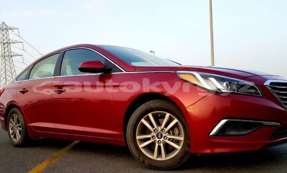Buy Import Hyundai Sonata Red Car in Import - Dubai in Batken Buy Import Hyundai Sonata Red Car in Import - Dubai in Batken