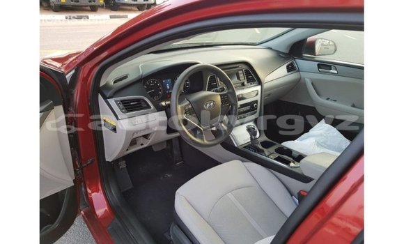 Buy Import Hyundai Sonata Red Car in Import - Dubai in Batken Buy Import Hyundai Sonata Red Car in Import - Dubai in Batken