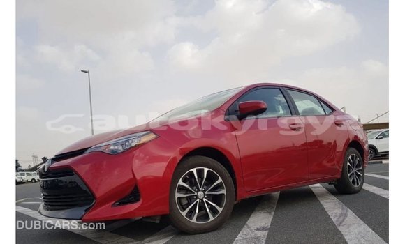 Buy Import Toyota Corolla Red Car in Import - Dubai in Batken Buy Import Toyota Corolla Red Car in Import - Dubai in Batken