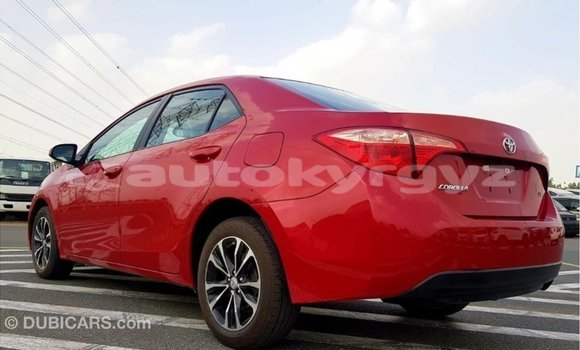 Buy Import Toyota Corolla Red Car in Import - Dubai in Batken Buy Import Toyota Corolla Red Car in Import - Dubai in Batken