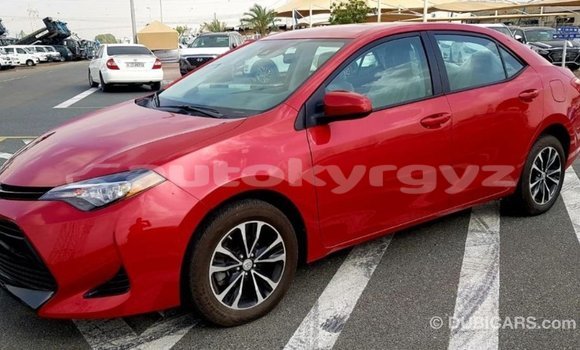 Buy Import Toyota Corolla Red Car in Import - Dubai in Batken Buy Import Toyota Corolla Red Car in Import - Dubai in Batken