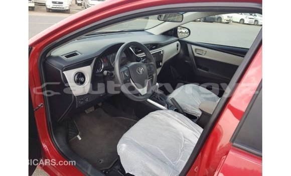 Buy Import Toyota Corolla Red Car in Import - Dubai in Batken Buy Import Toyota Corolla Red Car in Import - Dubai in Batken