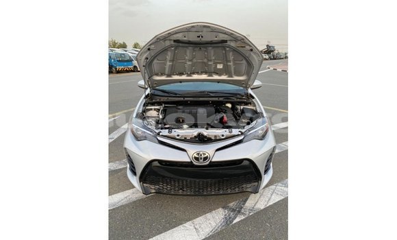 Buy Import Toyota Corolla Other Car in Import - Dubai in Batken Buy Import Toyota Corolla Other Car in Import - Dubai in Batken