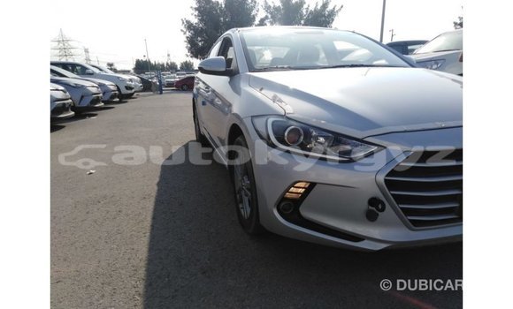 Buy Import Hyundai Elantra Other Car in Import - Dubai in Batken Buy Import Hyundai Elantra Other Car in Import - Dubai in Batken