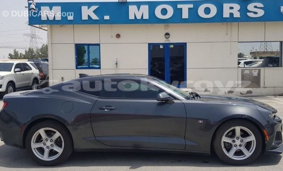Buy Import Chevrolet Camaro Other Car in Import - Dubai in Batken Buy Import Chevrolet Camaro Other Car in Import - Dubai in Batken