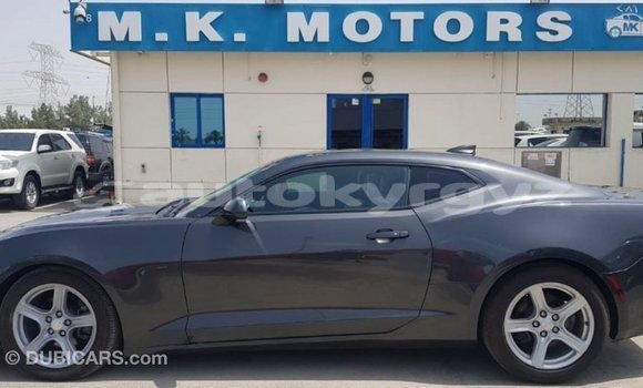 Buy Import Chevrolet Camaro Other Car in Import - Dubai in Batken Buy Import Chevrolet Camaro Other Car in Import - Dubai in Batken